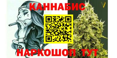 крисы Краснодар